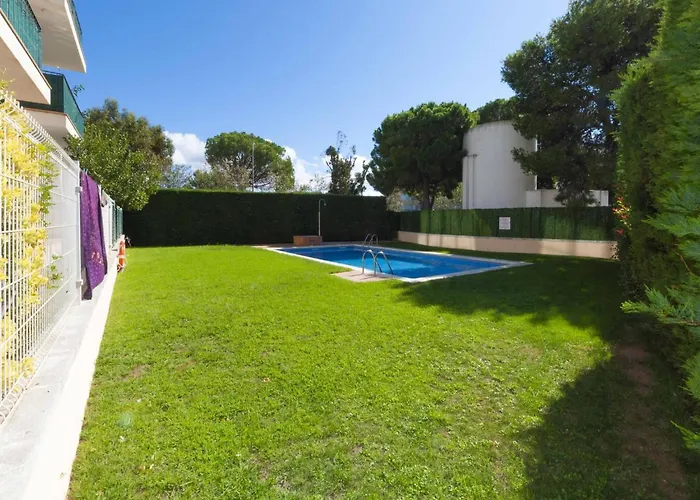 In Near Playa Santa Margarita Roses