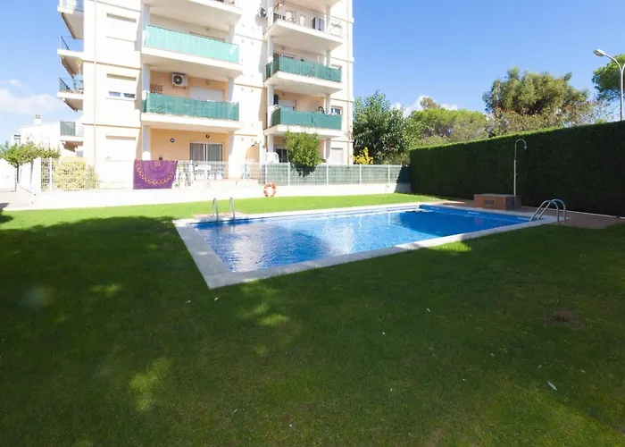 In Near Playa Santa Margarita Roses